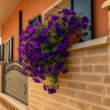 Borgo Dragani